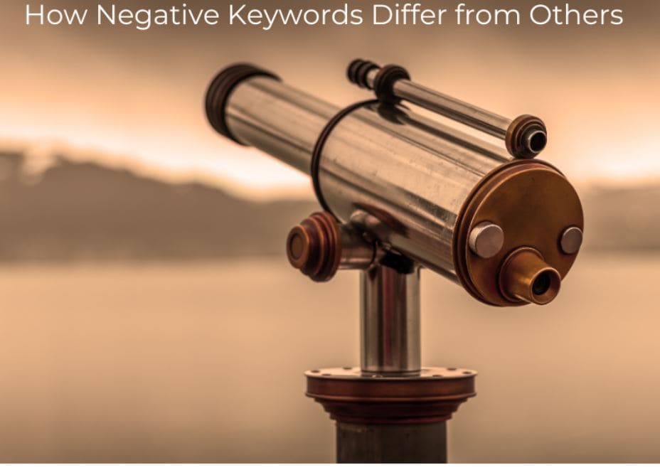 How Negative Keywords Differ from Others